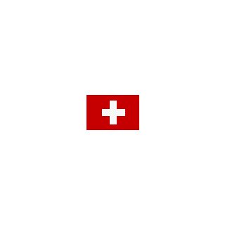 Flagge 20 x 30 cm Schweiz