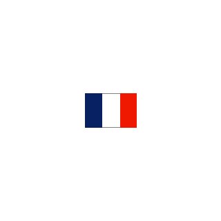 Flagge 20 x 30 cm Frankreich